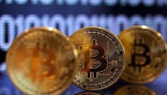 Top-Tier Earnings Guide: How Brazilian Hosting Boosts Crypto Yields